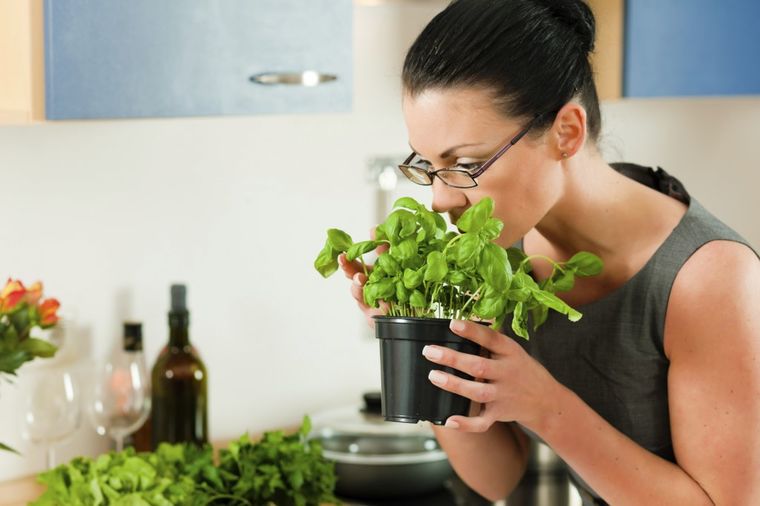 Kako da uzgajate začine u kuhinji: Planirajte, zalivajte i imajte strpljenja