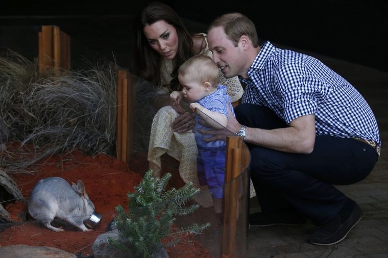Kako Uskrs proslavljaju Džordž, Kejt i Vilijam: Druženje u zoološkom vrtu (FOTO)