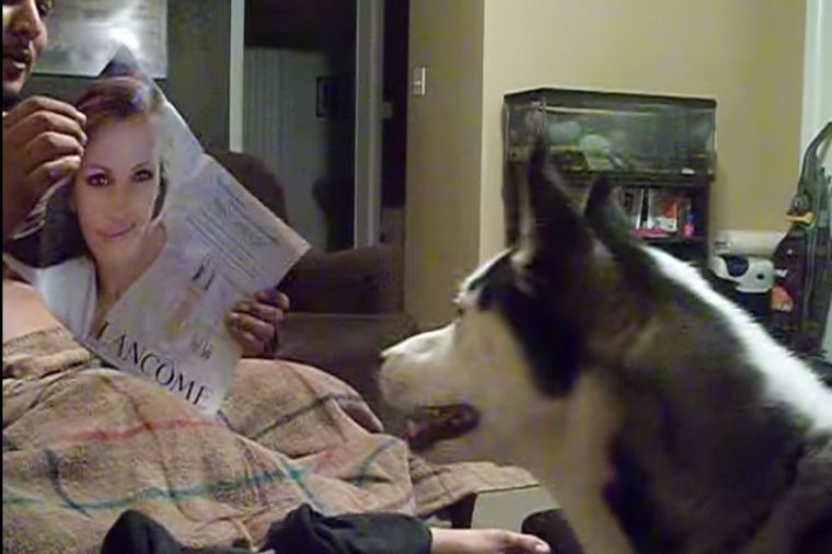 Potpuno neočekivana: Urnebesna reakcija psa kada je ugledao Džuliju Roberts! (VIDEO)