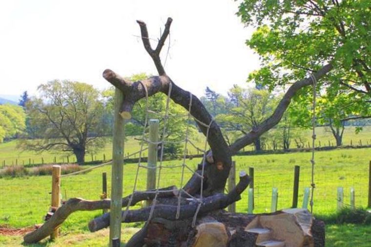 Ne bacajte staro drvo: Pretvorite ga u genijalno igralište (FOTO)