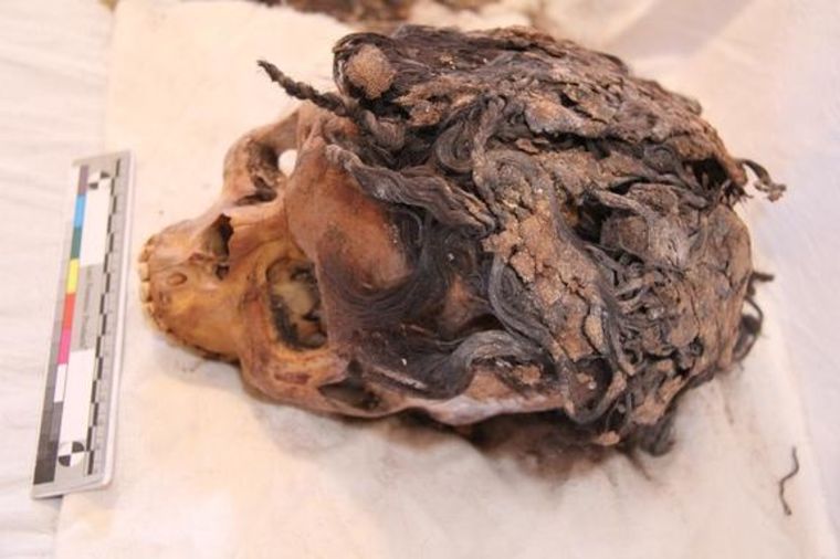 Nadogradnja kose potiče od pre 3 hiljade godina: Pronađena lobanja sa 70 umetaka! (FOTO)